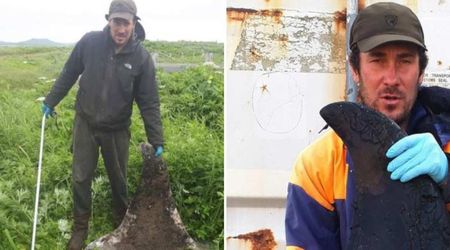 A Cannibalistic War Is Brewing Among Pacific's Killer Whales. And Biologists Just Found Proof