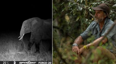 Conservationist Spent 10 Years Chasing Angola’s Mysterious ‘Ghost Elephant’. He’s Finally Filmed It