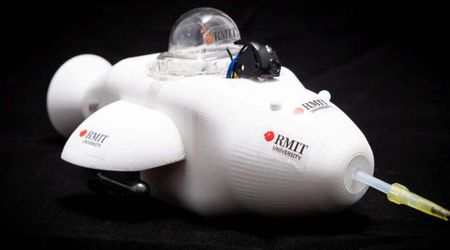 Scientists Create Tiny 'Electronic Dolphin' Robot That Could Swallow Up Oil Spills in Oceans