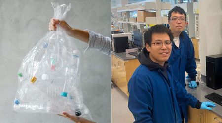 Scientists Create New Plastic That Self-Destructs After Use in Breakthrough Research