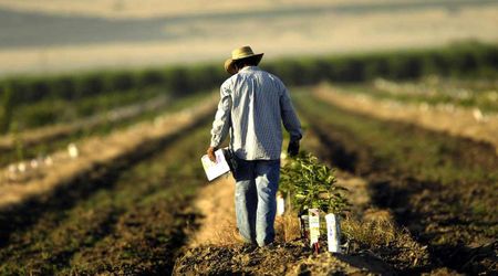 Iran War Disrupts U.S. Farmers' Spring Planting as Fertilizers Run Short. Will This Affect Food Supply?