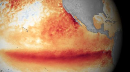 The Strongest El Niño Ever Is Predicted To Happen In 2026. Here’s How It Could Affect Us
